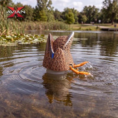 Avian-X Power Butt Kicker Mallard Hen Motion Duck Realistic Floating Decoy - VMInnovations