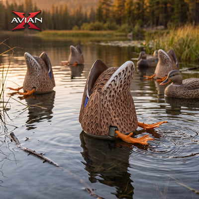 Avian-X Power Butt Kicker Mallard Hen Motion Duck Realistic Floating Decoy - VMInnovations
