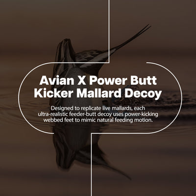 Avian-X Power Butt Kicker Pintail Drake Motion Duck Realistic Floating Decoy - VMInnovations