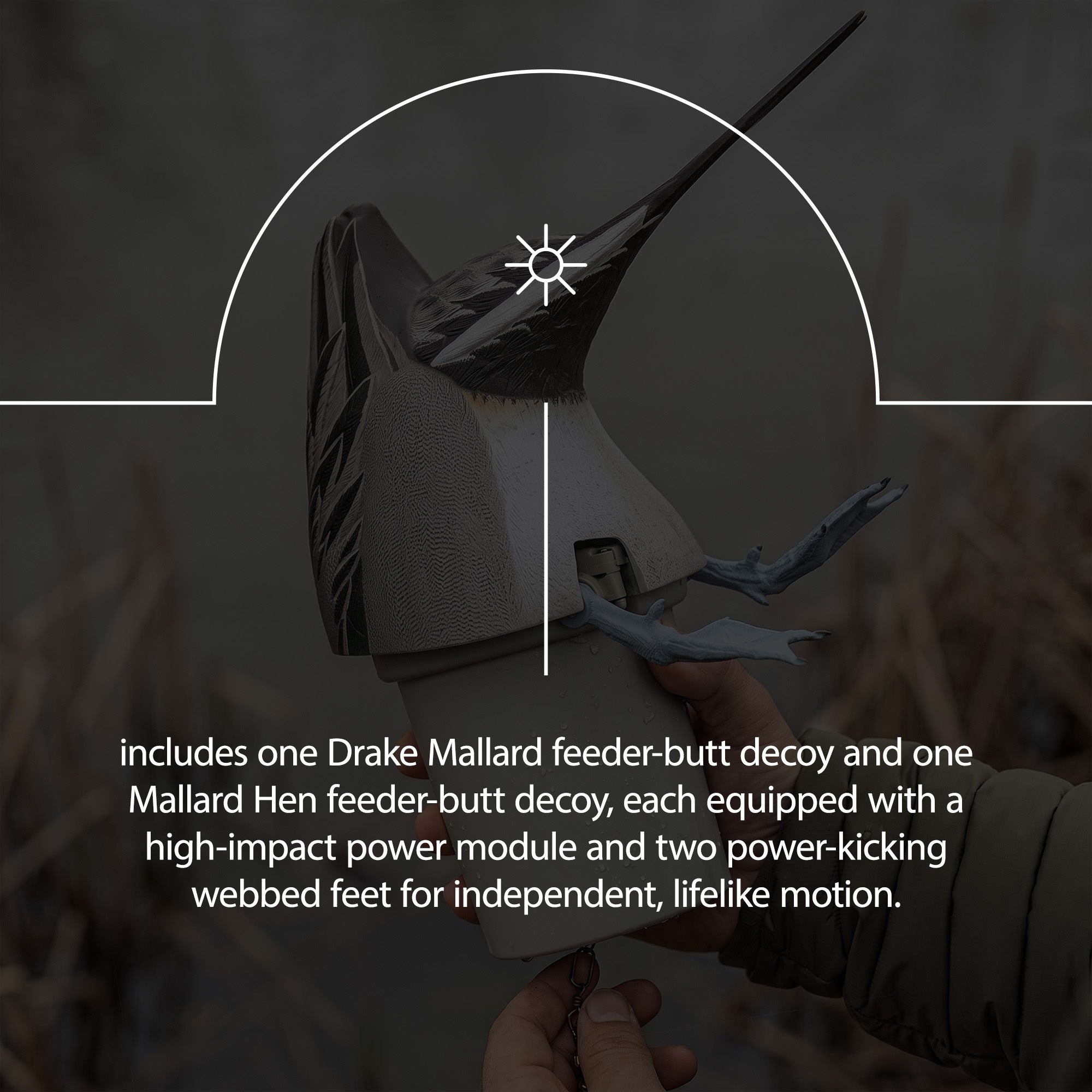 Avian-X Power Butt Kicker Pintail Drake Motion Duck Realistic Floating Decoy - VMInnovations