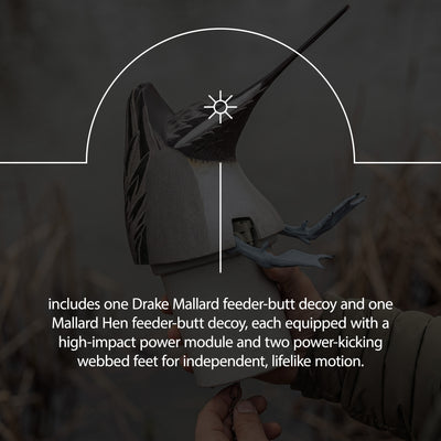 Avian-X Power Butt Kicker Pintail Drake Motion Duck Realistic Floating Decoy - VMInnovations