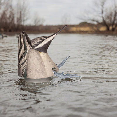 Avian-X Power Butt Kicker Pintail Drake Motion Duck Realistic Floating Decoy