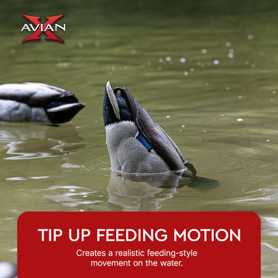 Avian-X Tip Up Mallard Duck Decoy, Patent-Pending Feeding Motion, 12-Hr Battery