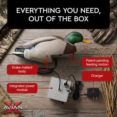 Avian-X Tip Up Mallard Duck Decoy, Patent-Pending Feeding Motion, 12-Hr Battery