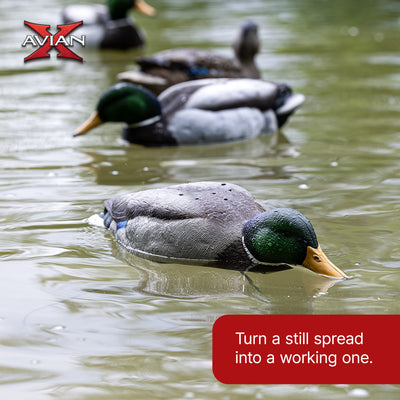 Avian-X Tip Up Mallard Duck Decoy, Patent-Pending Feeding Motion, 12-Hr Battery