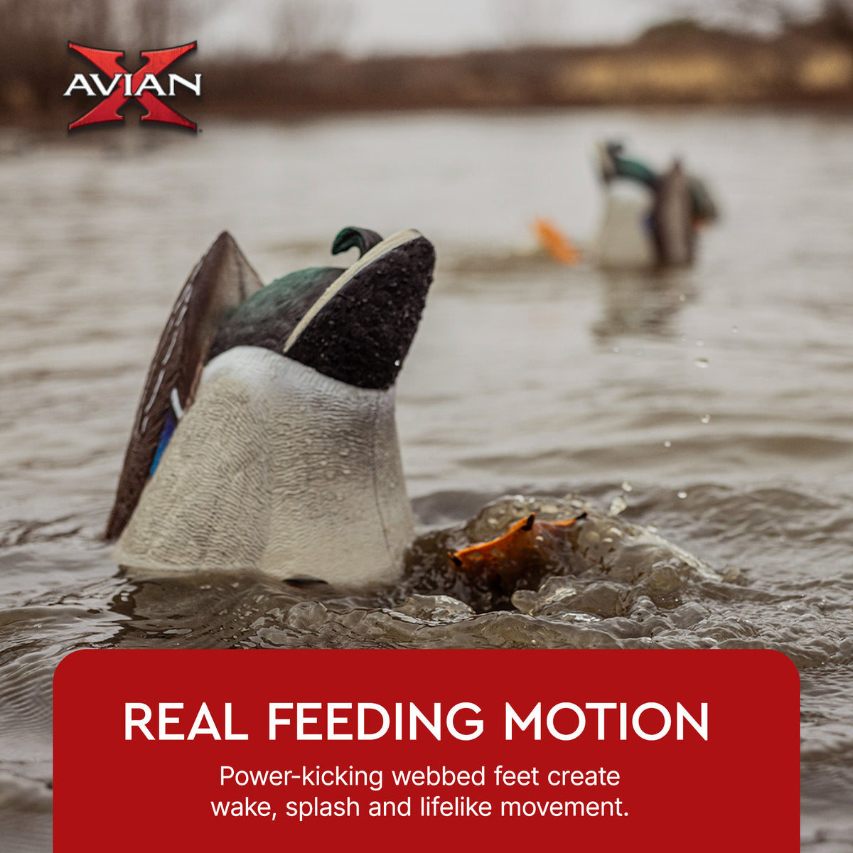 Avian-X Power Butt Kicker Drake Mallard Motion Duck Realistic Floating Decoy