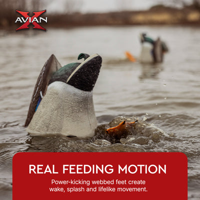 Avian-X Power Butt Kicker Drake Mallard Motion Duck Realistic Floating Decoy