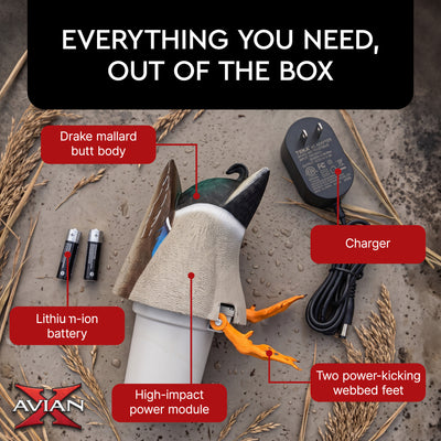 Avian-X Power Butt Kicker Drake Mallard Motion Duck Realistic Floating Decoy