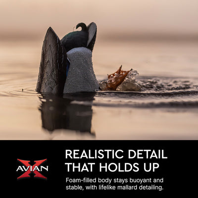 Avian-X Power Butt Kicker Drake Mallard Motion Duck Realistic Floating Decoy