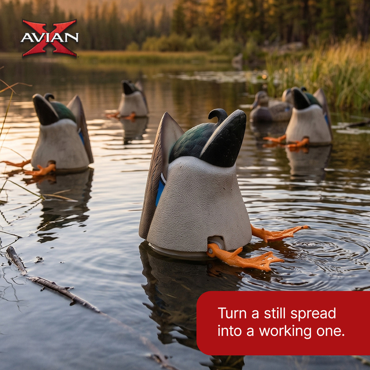 Avian-X Power Butt Kicker Drake Mallard Motion Duck Realistic Floating Decoy