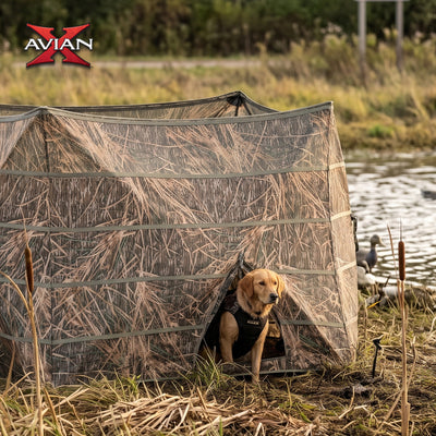 Avian-X Pop-Up X-Panel Waterfowl Blind, Lightweight Hub-Style Frame, Shadowgrass