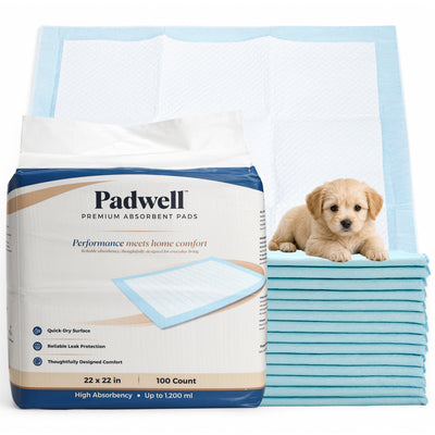 Padwell Absorbent Pads for Bed and Floor Protection, 22 x 22 Inches, 50 Count