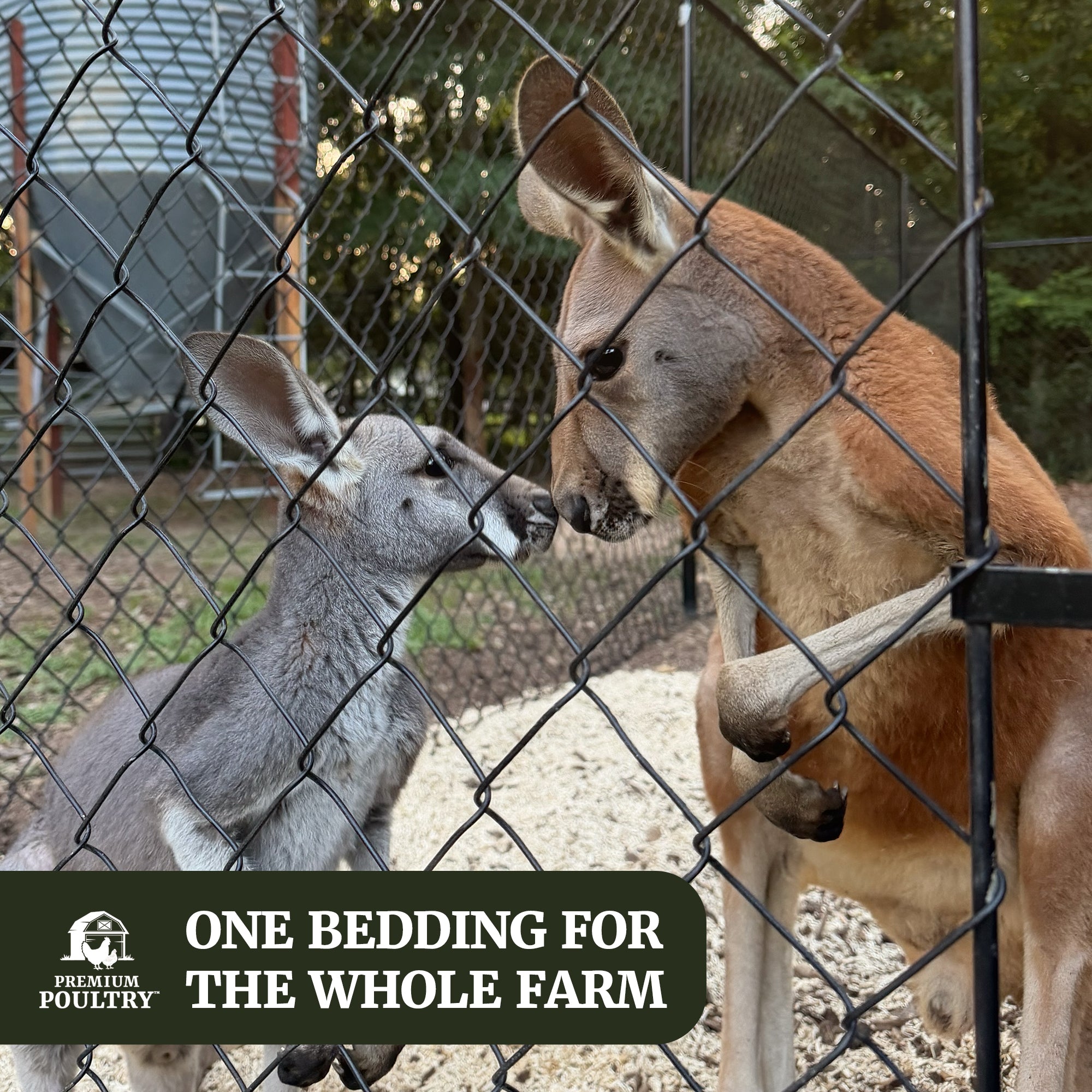Premium Poultry Hemp Bedding Low Dust Absorbent Chicken Coop Substrate, 22.5 Lb