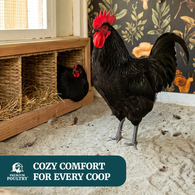 Premium Poultry 10 Lb Bag Hemp Cozy Coop Siftable Chicken Bedding for Coops