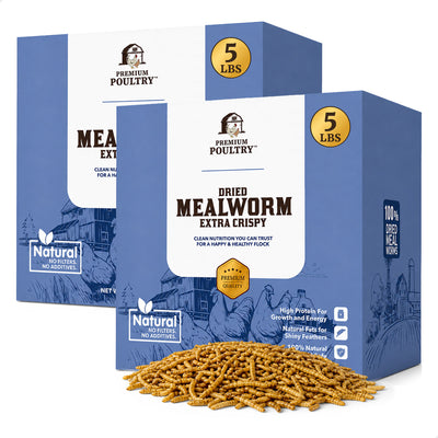 Premium Poultry 10 Pound Dried Mealworms Natural High Protein Chicken Feed Treat