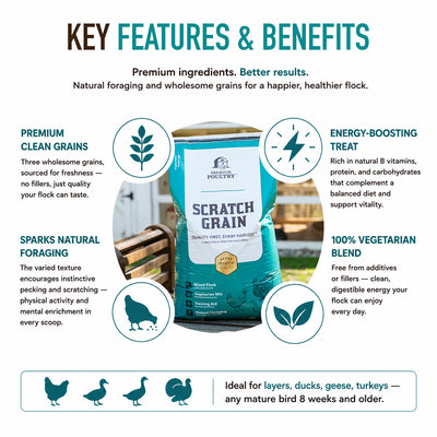 Premium Poultry Scratch Grain for Adult Chickens, Ducks, and Turkeys, 2000 lbs