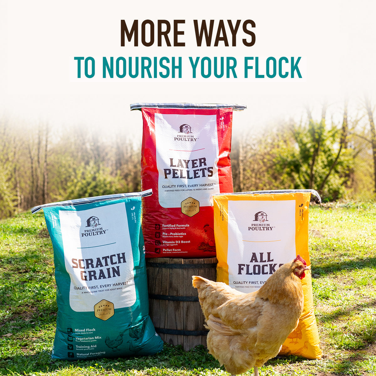 Premium Poultry Scratch Grain for Adult Chickens, Ducks, and Turkeys, 2000 lbs