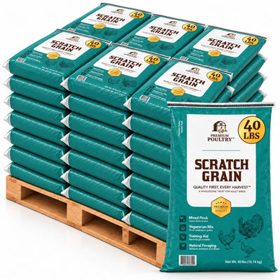 Premium Poultry Scratch Grain for Adult Chickens, Ducks, and Turkeys, 2000 lbs
