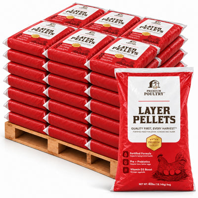 Premium Poultry Layer Pellets for Laying Hens, 16% Protein Blend Feed, 2000 lb - VMInnovations