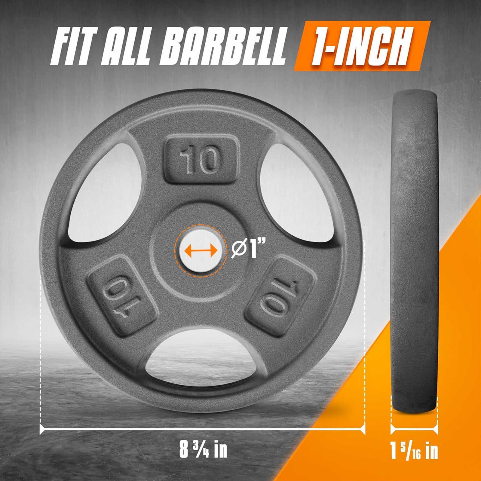 Yes4All 2 Pack Cast Iron Weight Plates w/ 1" Hole & Tri-Grip Handles, 10 Pounds - VMInnovations