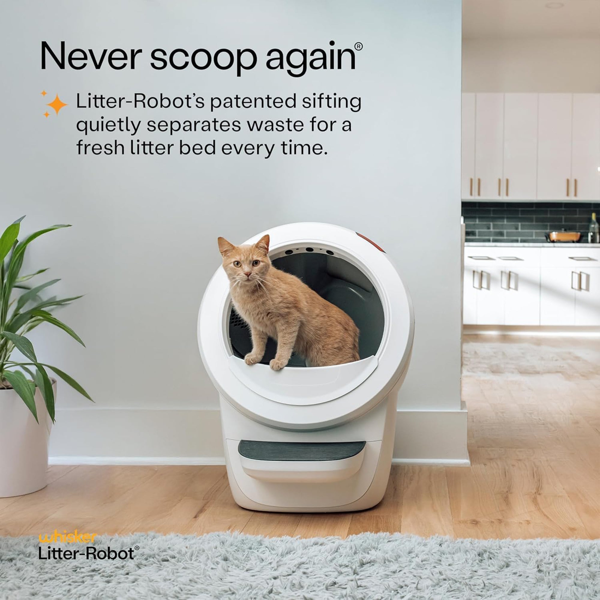 Litter-Robot 4 by Whisker, Automatic, Self-Cleaning Cat Litter Box (Open Box)