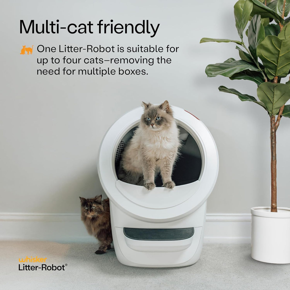 Litter-Robot 4 by Whisker, Automatic, Self-Cleaning Cat Litter Box (Open Box)