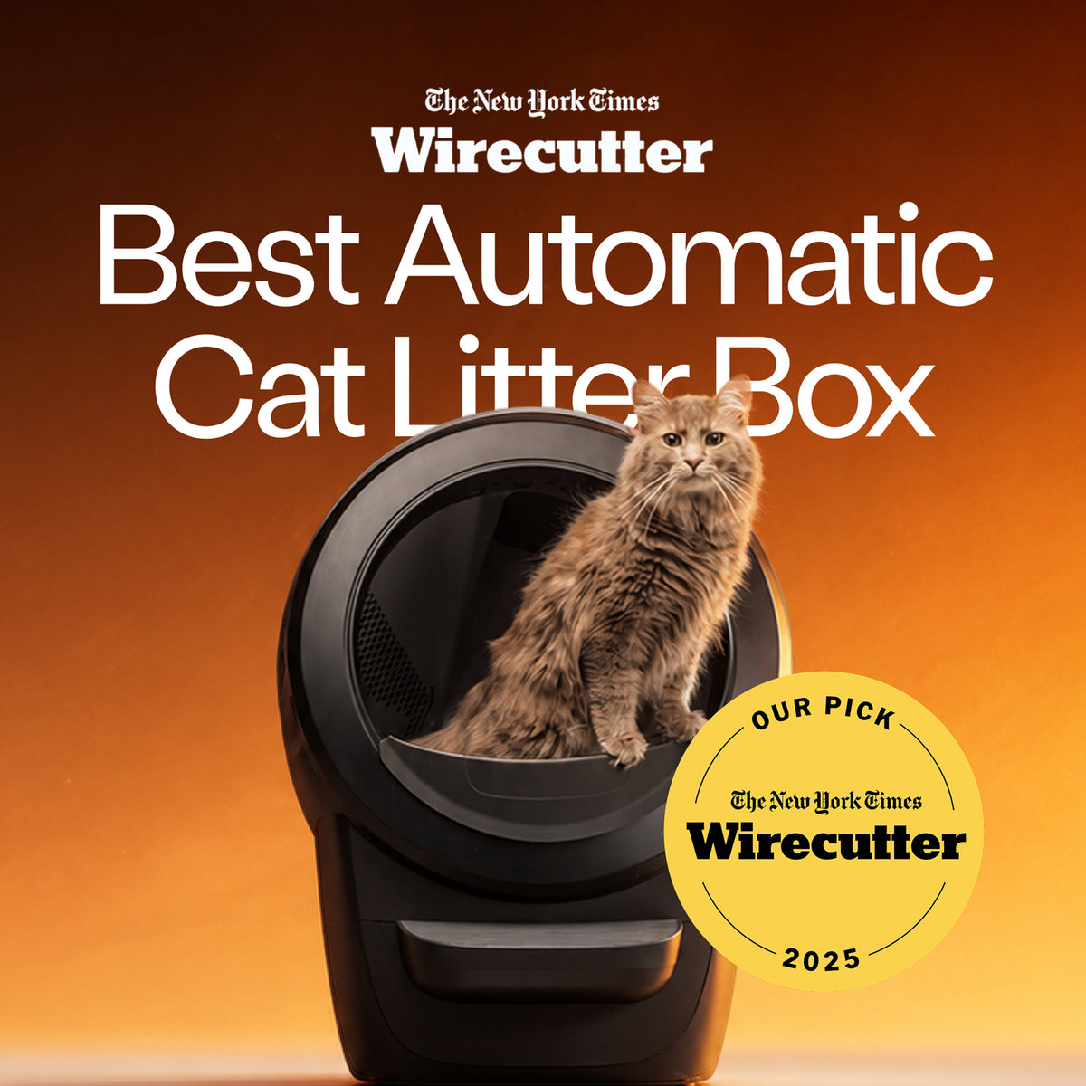 Litter-Robot 4 Supply & Accessory Bundle by Whisker, Black (Open Box)