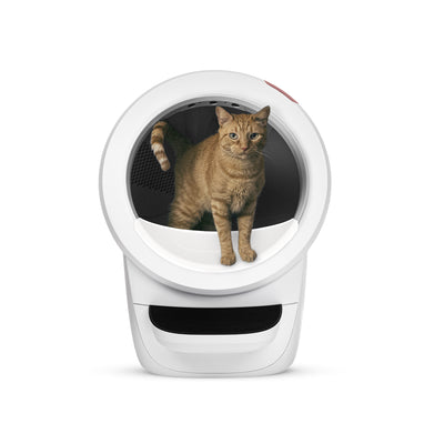 Litter-Robot 4 Supply & Accessory Bundle by Whisker, White
