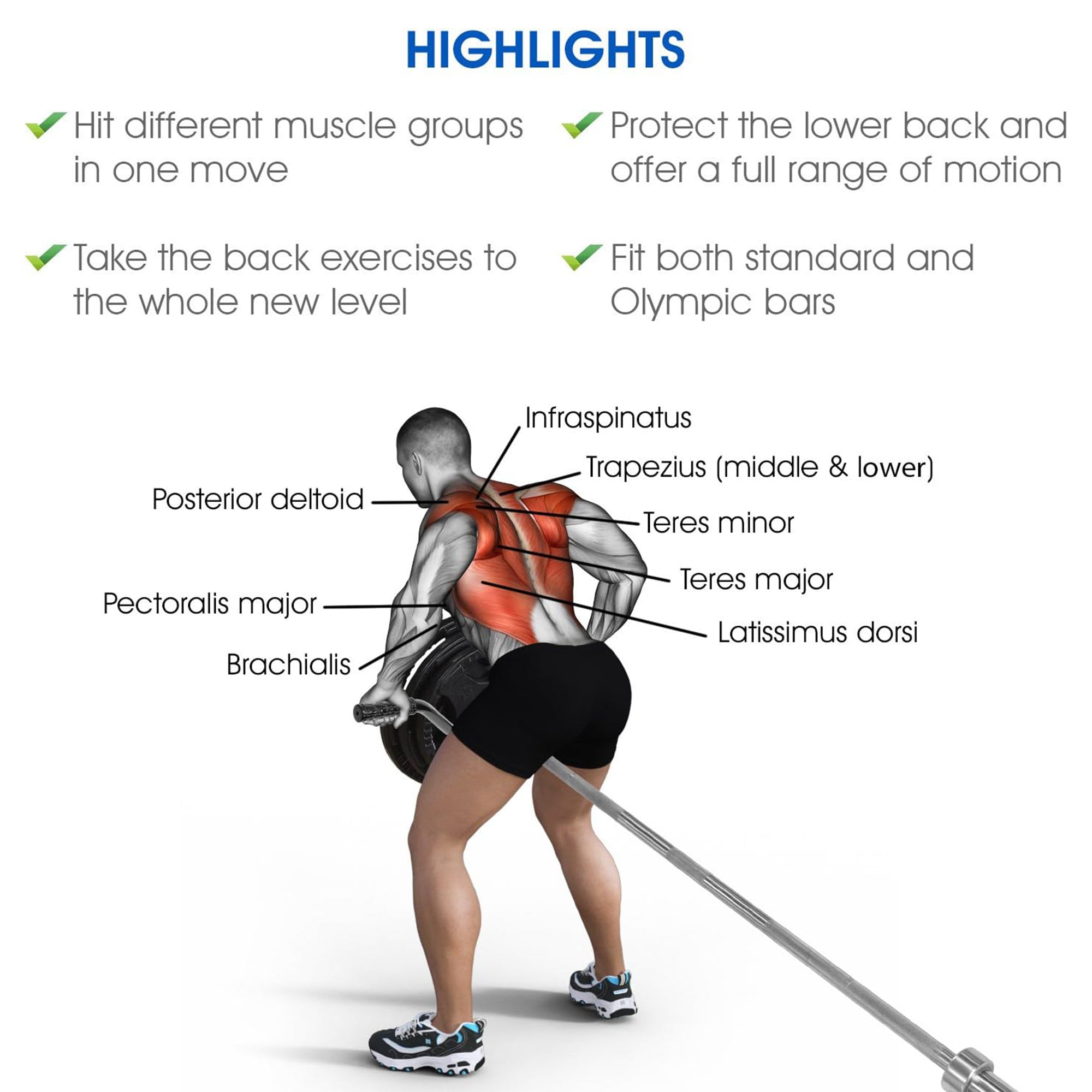 Yes4All T-Bar Lat Blaster Handle Attachment for Landmine Rows and Back Training