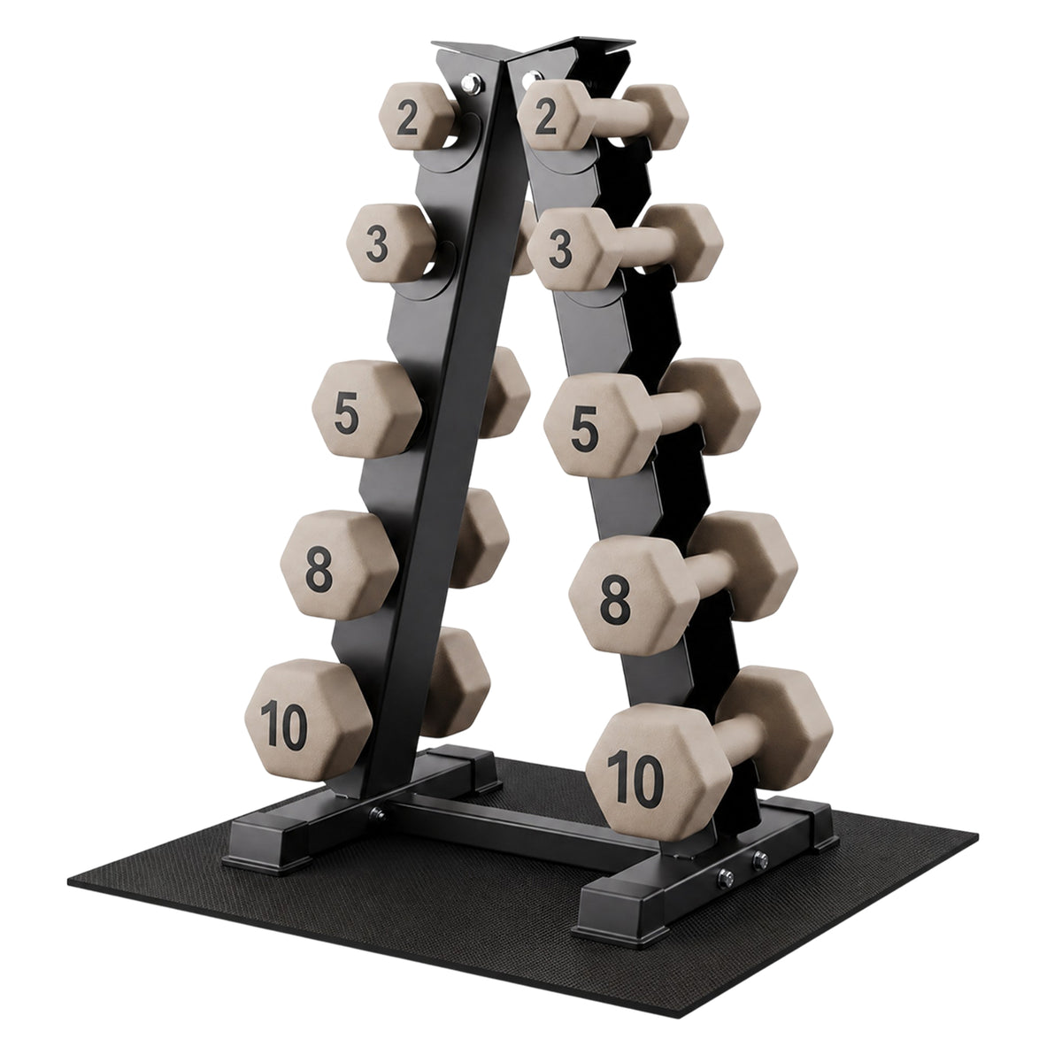 Aurorafy Neoprene Dumbbell Workout Set with Rack, 2, 3, 5, 8, & 10lbs, Beige