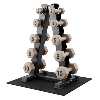 Aurorafy Neoprene Dumbbell Workout Set with Rack, 2, 3, 5, 8, & 10lbs, Beige