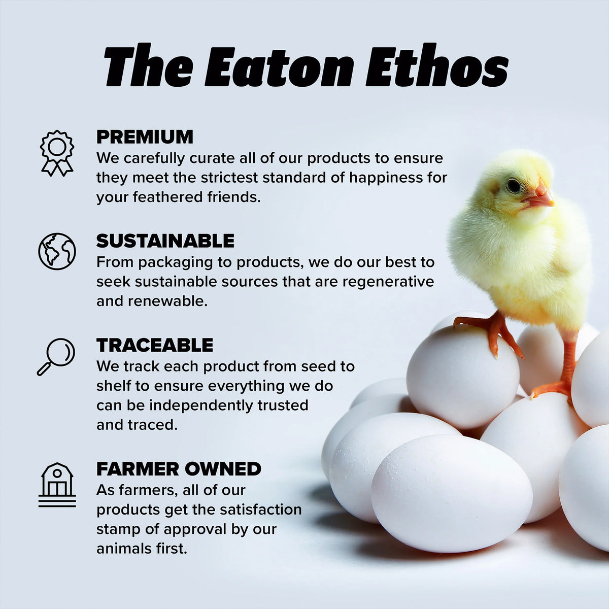 Eaton Pet and Pasture Premium Nesting Pads for Laying Hens, 13" x 13", (Used)