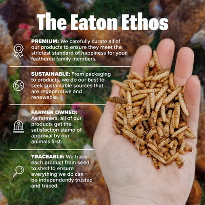 Eaton Pet and Pasture Premium Grubs, High-Calcium Treat for Chickens, Ducks, 5Lb - VMInnovations