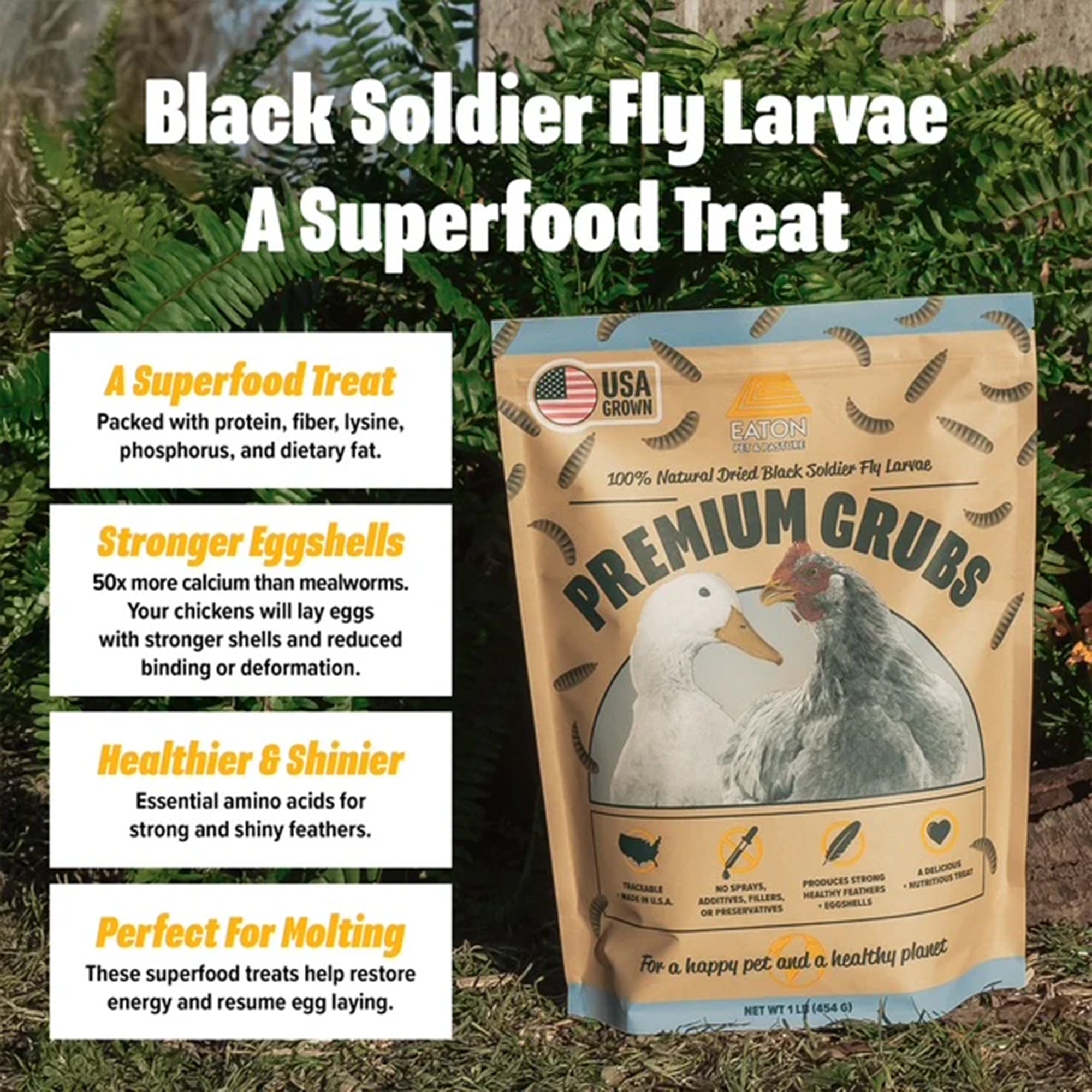 Eaton Pet and Pasture Premium Grubs, High-Calcium Treat for Chickens, Ducks, 5Lb - VMInnovations