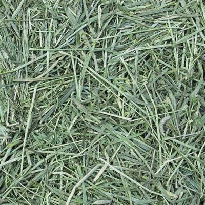Eaton Pet & Pasture Western Timothy Hay Orchard Blend for Pets, 25 Lb Box (Used)