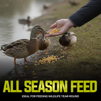 Sun Joe Premium Whole Corn All Season Feed for Wildlife and Poultry, 25 Lb, WC25