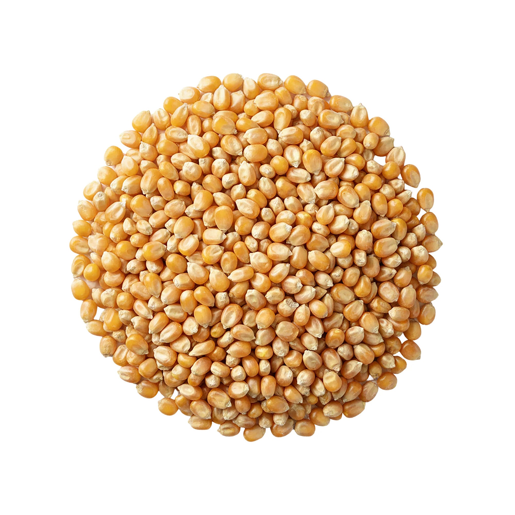 Sun Joe Premium Whole Corn All Season Feed for Wildlife and Poultry, 25 Lb, WC25
