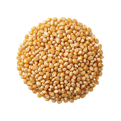 Sun Joe Premium Whole Corn All Season Feed for Wildlife and Poultry, 25 Lb, WC25