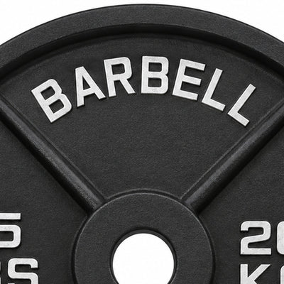 Fitvids 45 lb Cast Iron Grip Weight Plate, Olympic Plate for Strength Training