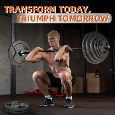 Fitvids 10 lb Cast Iron Weight Plate, Olympic Plate for Training (Open Box) - VMInnovations