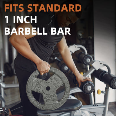 Fitvids 25 lb Cast Iron Grip Weight Plate, Olympic Plate for Strength Training