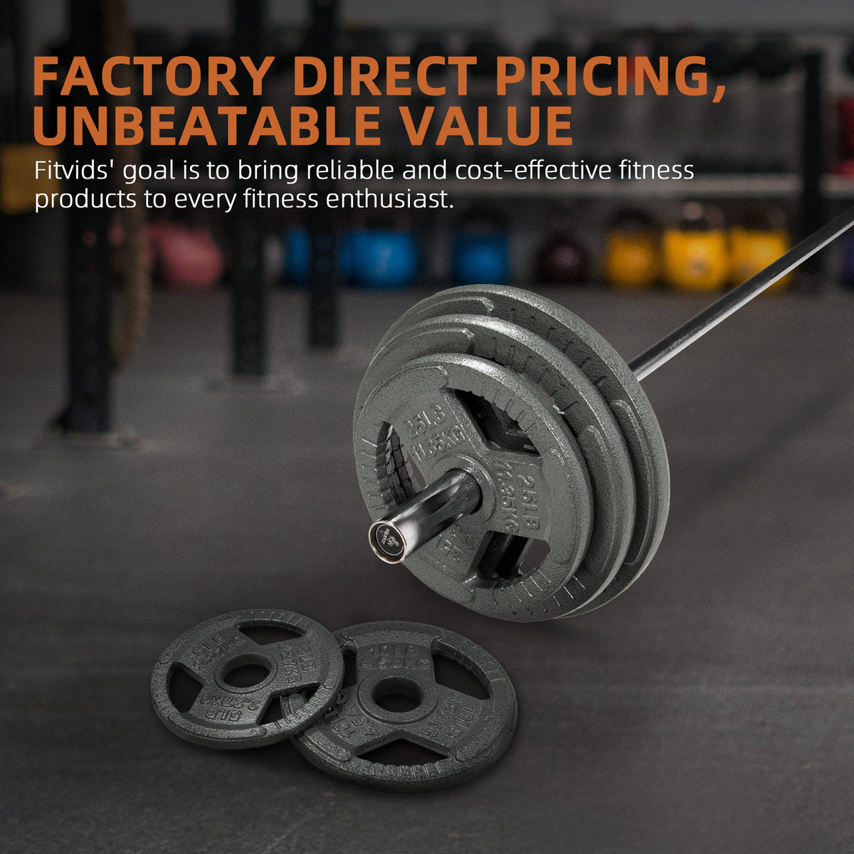 Fitvids 10 lb Cast Iron Grip Weight Plate, Olympic Plate for Strength Training