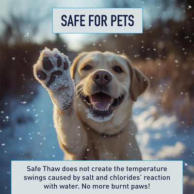 Safe Thaw Salt Free Pet Safe Ice Melt for Concrete Driveways, 10 Pounds Jug