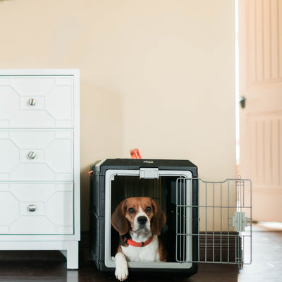 Mirapet Pet Carrier, Collapsible Crate for Large Dogs or Cats, 26", Black/Orange