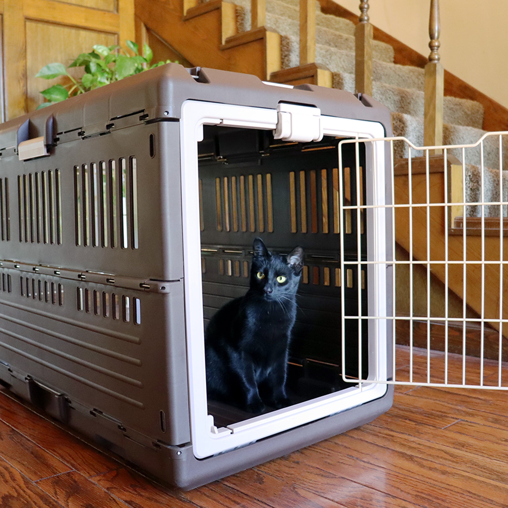 Mirapet Pet Carrier, Collapsible Crate for Large Dogs or Cats, 35", Brown/Beige