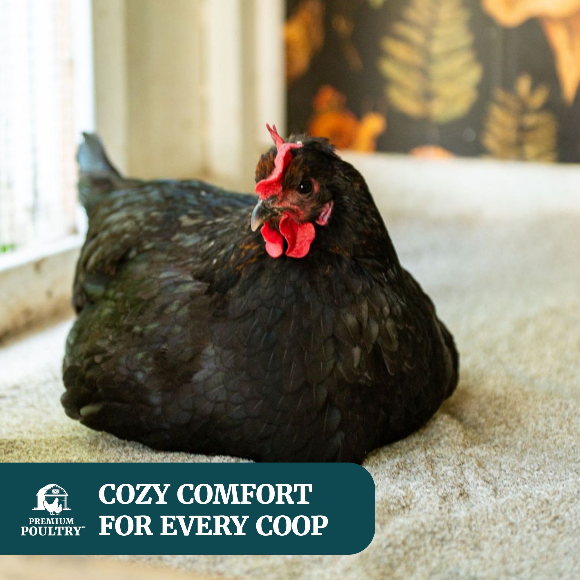 Premium Poultry 2 Pack 10 Pound Bag Hemp Cozy Coop Siftable Chicken Bedding
