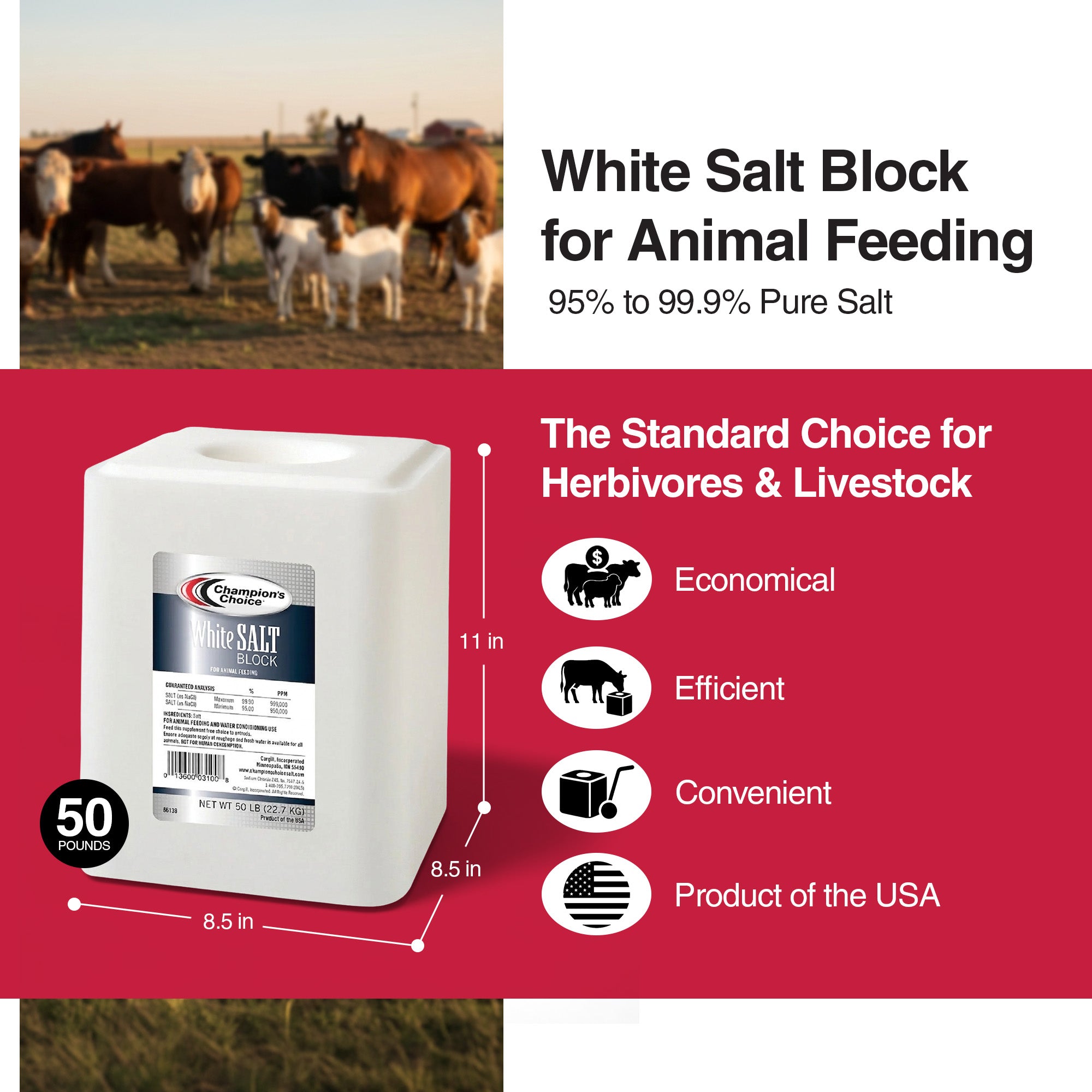 Champion's Choice White Salt Block, Livestock Feed for Animal's Diets, 50 Pounds