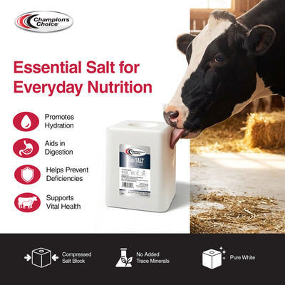 Champion's Choice White Salt Block, Livestock Feed for Animal's Diets, 50 Pounds