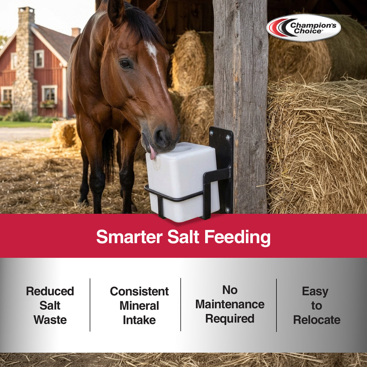 Champion's Choice 4 Pack Salt Block, Livestock Feed for Animal's Diets, 50 lbs