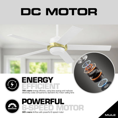 Mule Bravar 52-Inch Ceiling Fan with LED Light and Remote Control, White/Gold